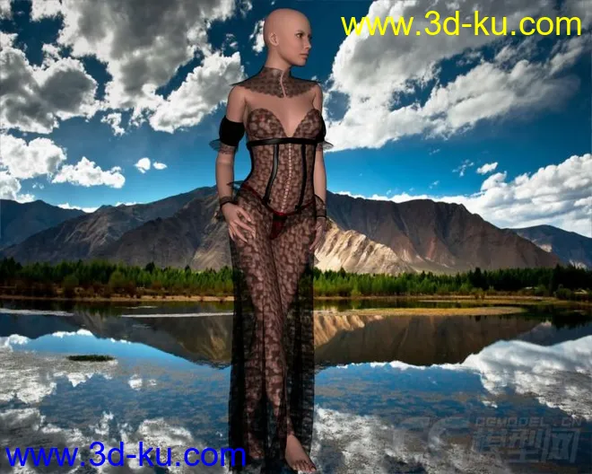 DAZ3D - Poser - Hot Sominas Delight for V4模型的图片8