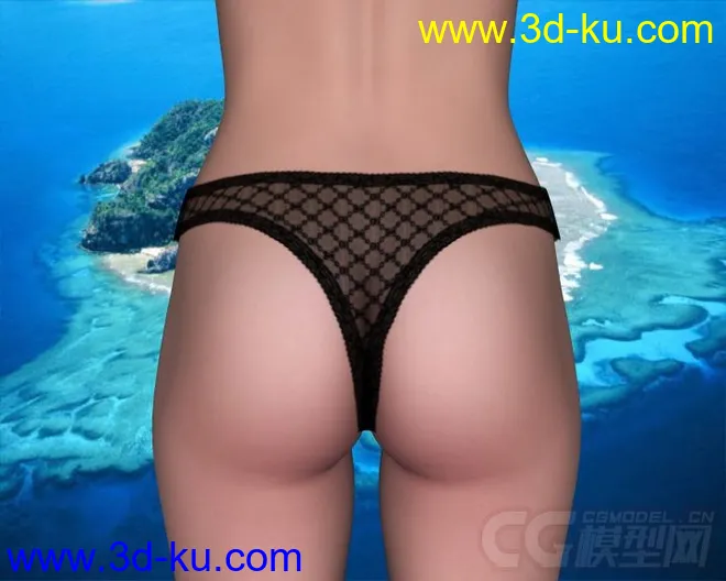DAZ3D - Poser - Lady Briefs and Luxury for V4模型的图片7