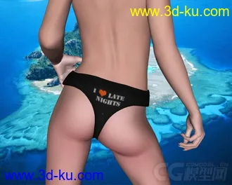 3D打印模型DAZ3D - Poser - Lady Briefs and Luxury for V4的图片