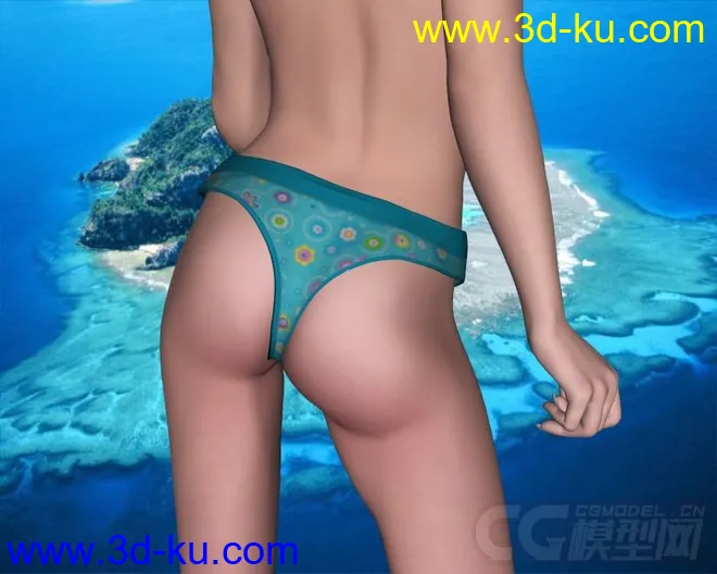 DAZ3D - Poser - Lady Briefs and Luxury for V4模型的图片12