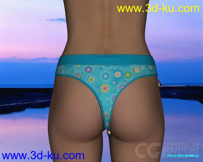 DAZ3D - Poser - Lady Briefs and Luxury for V4模型的图片17