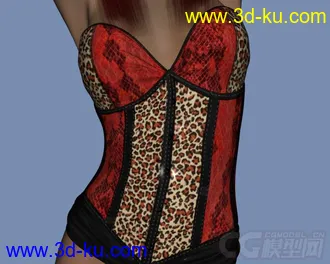 3D打印模型DAZ3D - Poser - LF Corset Donna, Nuova Donna, Caress for V4的图片