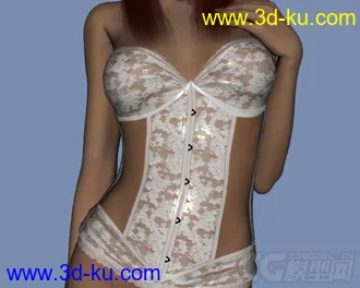 3D打印模型DAZ3D - Poser - LF Corset Donna, Nuova Donna, Caress for V4的图片