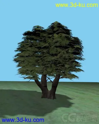 3D打印模型一棵大树的图片