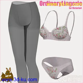 3D打印模型RO54819 - Ordinary Lingerie V4的图片