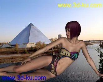 3D打印模型DAZ3D - Poser - Tango Swimwear G2F的图片