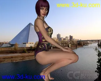 3D打印模型DAZ3D - Poser - Tango Swimwear G2F的图片