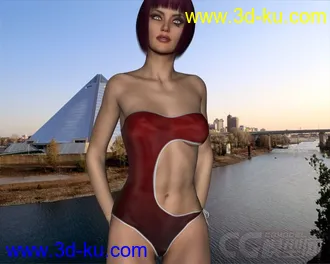 3D打印模型DAZ3D - Poser - Tango Swimwear G2F的图片