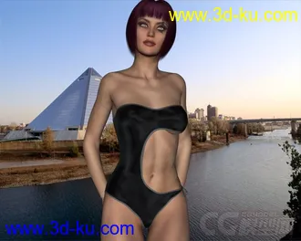 3D打印模型DAZ3D - Poser - Tango Swimwear G2F的图片