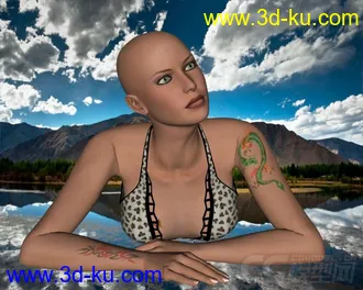 3D打印模型V4+Cami+02的图片