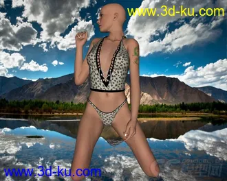 3D打印模型V4+Cami+02的图片