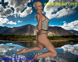 3D打印模型V4+Cami+02的图片