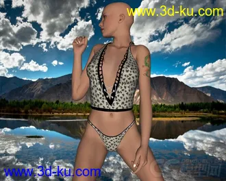 3D打印模型V4+Cami+02的图片