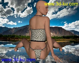 3D打印模型V4+Cami+02的图片