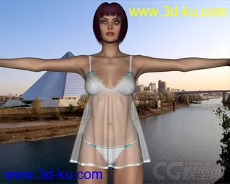 3D打印模型Dynamic Lingerie Collection for Victoria 6 and Victoria 5的图片