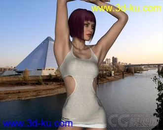 3D打印模型Dynamic Lingerie Collection for Victoria 6 and Victoria 5的图片
