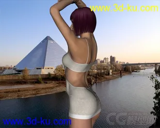 3D打印模型Dynamic Lingerie Collection for Victoria 6 and Victoria 5的图片