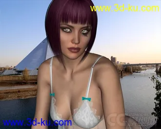 3D打印模型Dynamic Lingerie Collection for Victoria 6 and Victoria 5的图片