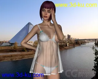 3D打印模型Dynamic Lingerie Collection for Victoria 6 and Victoria 5的图片