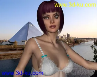3D打印模型Dynamic Lingerie Collection for Victoria 6 and Victoria 5的图片