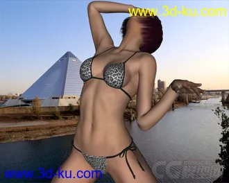 3D打印模型IM00016699-02_AriadneforV6Poser的图片