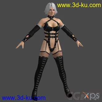 3D打印模型DOA5_Christie_Dominatrix的图片