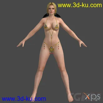 3D打印模型DOA5_HX2V的图片
