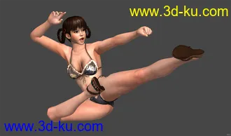 3D打印模型doa5_leifang_flying_kick_pose的图片