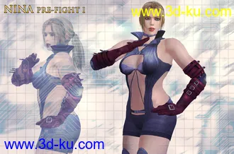 3D打印模型Nina Williams Pose Collection(1_10)的图片