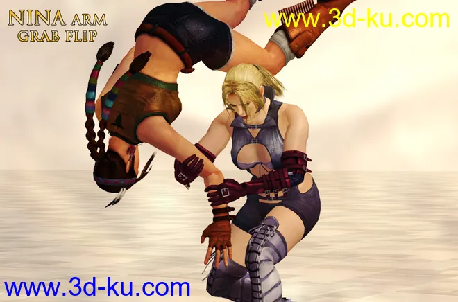 Nina Williams Pose Collection(1_10)模型的图片7