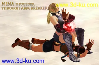 3D打印模型Nina Williams Pose Collection(11_20)的图片
