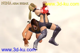 3D打印模型Nina Williams Pose Collection(11_20)的图片