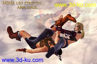 3D打印模型Nina Williams Pose Collection(21_30)的图片