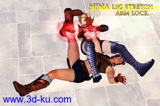3D打印模型Nina Williams Pose Collection(21_30)的图片