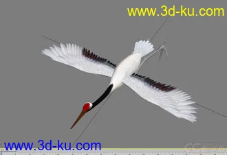 3D打印模型仙鹤 仙鹤飞带骨骼的图片