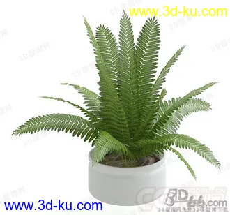 3D打印模型室内 绿植的图片