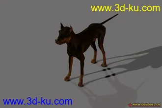 3D打印模型发一只凶悍的狗的图片