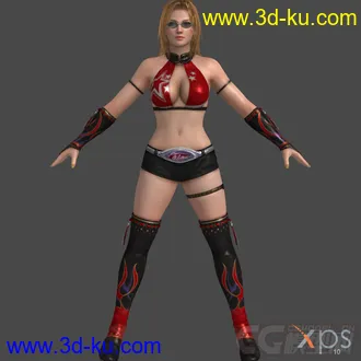 3D打印模型DOA5_Tina_wrestling_red的图片
