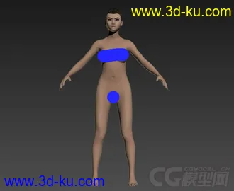 女性人体模型一个的图片