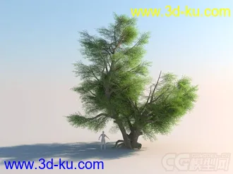 3D打印模型古树 杨过在树下练过刀法的图片