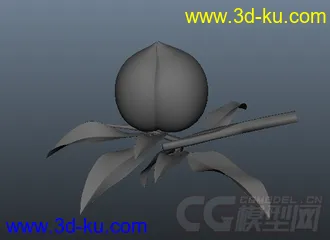 桃子模型的图片