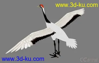 3D打印模型仙鹤的图片