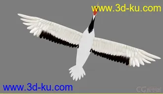 3D打印模型仙鹤的图片