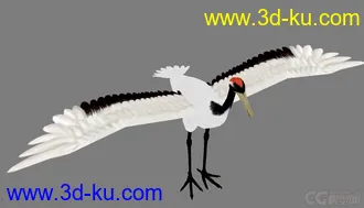 3D打印模型仙鹤的图片