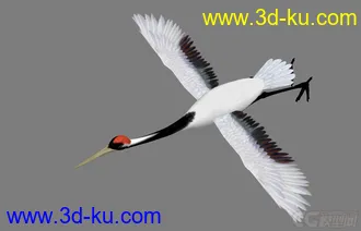3D打印模型仙鹤的图片