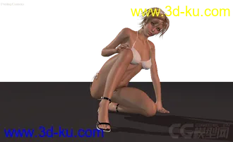 3D打印模型《High Heels 示例》的图片