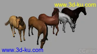 3D打印模型姿态各异的马的图片