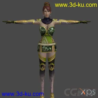 3D打印模型DynastyWarriors7_series的图片