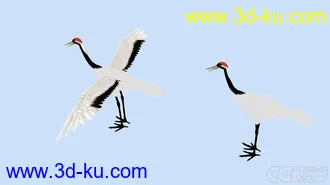 3D打印模型鸟类翅膀动画 仙鹤的图片