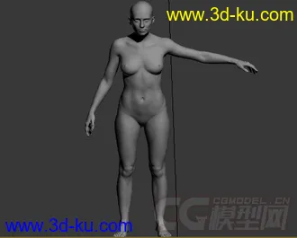 现代女人体模型的图片